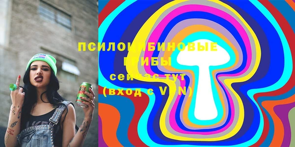 экстази Арсеньев