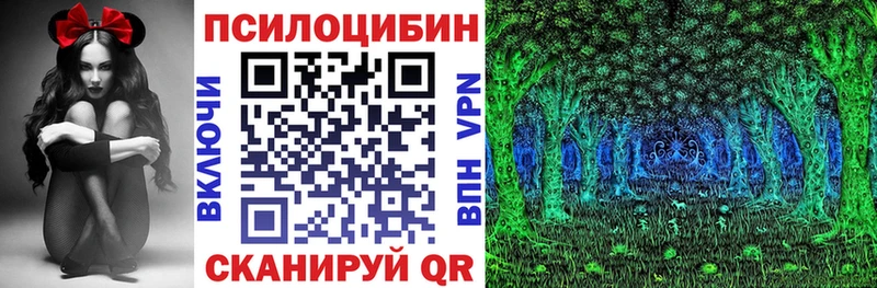 kraken вход Волгореченск мориарти какой сайт Галлюциногенные грибы мицелий